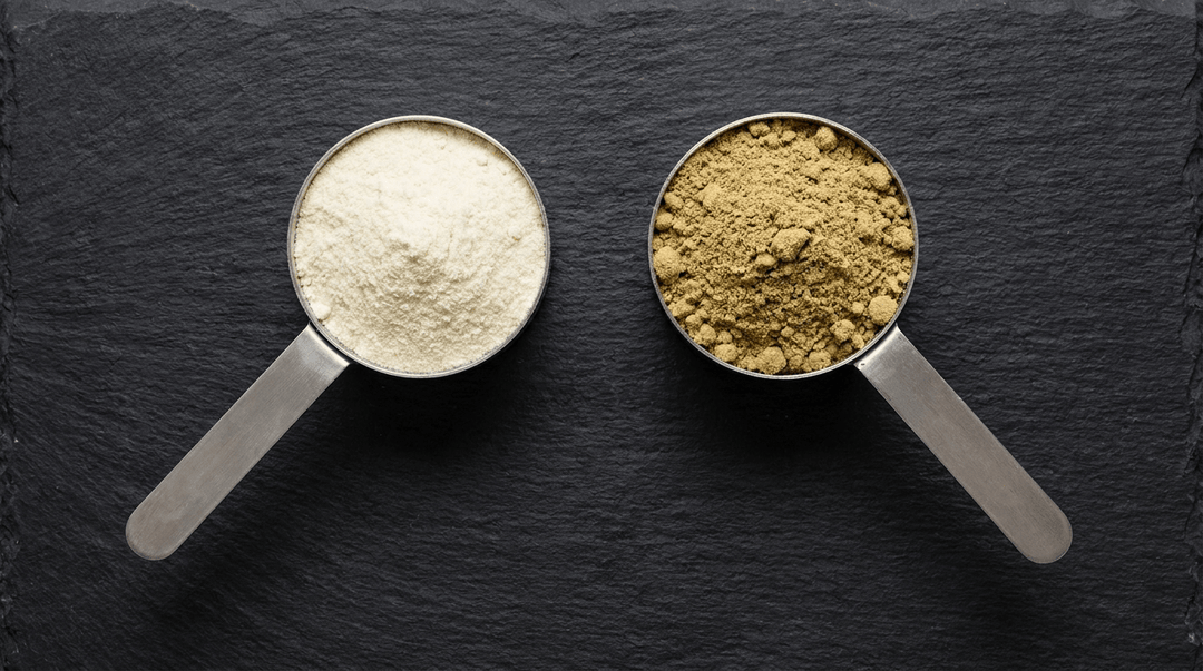 Whey vs. Plant Protein: Which Is Right for You? - Anthem Supplements
