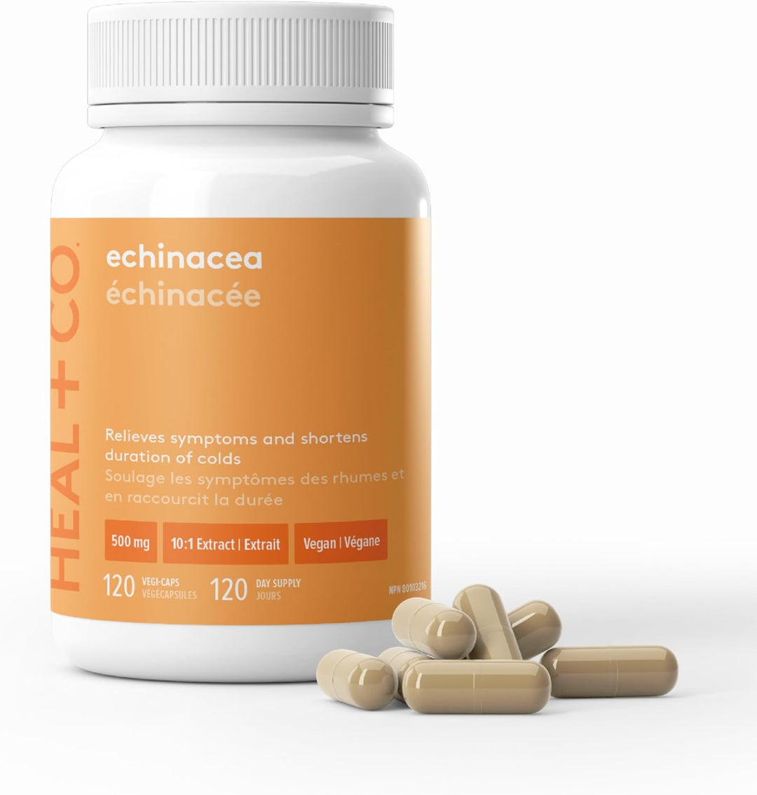 HEAL + CO. Echinacea Supplement | High Potency 10:1 Extract 500 mg 120 Capsules | Anthem Supplements Canada